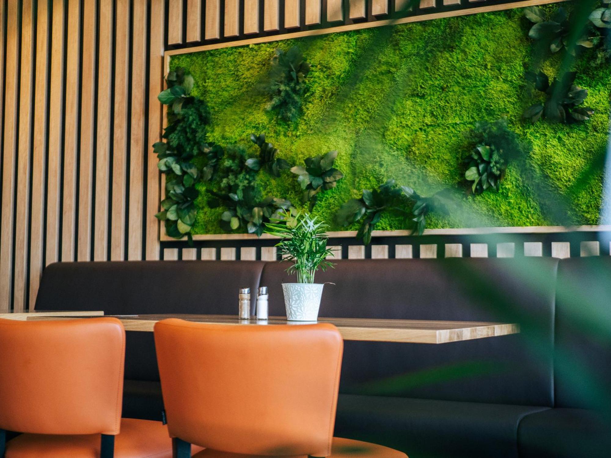 Appartement Am Hohenbusch ブルク・ロイラント エクステリア 写真